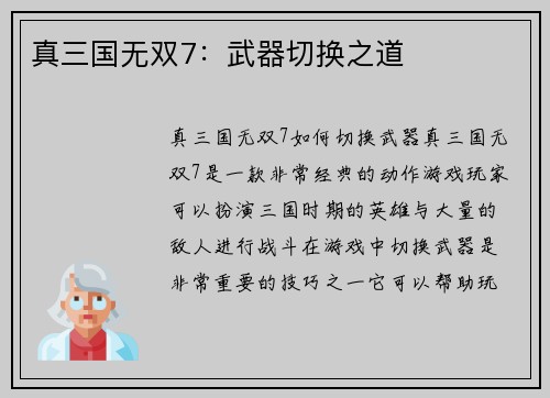 真三国无双7：武器切换之道
