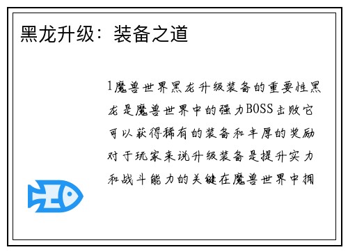 黑龙升级：装备之道